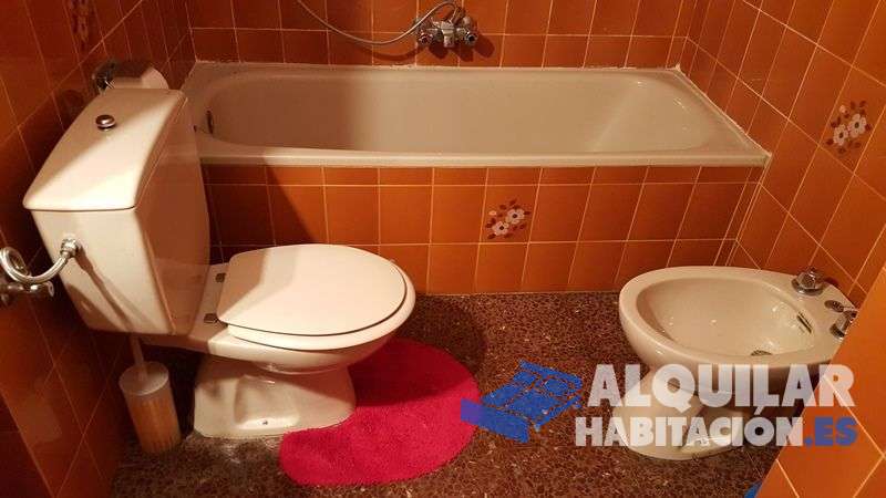 Foto identificativa nº 4090 para el anuncio R-350