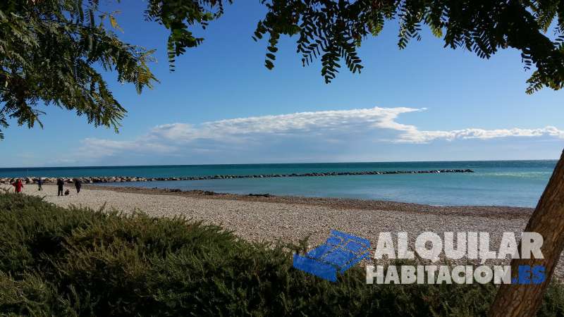 Foto identificativa nº 4132 para el anuncio R-357