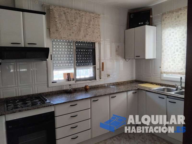 Foto identificativa nº 4217 para el anuncio R-381
